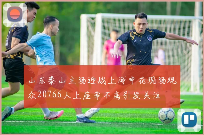 山东泰山主场迎战上海申花现场观众20766人上座率不高引发关注